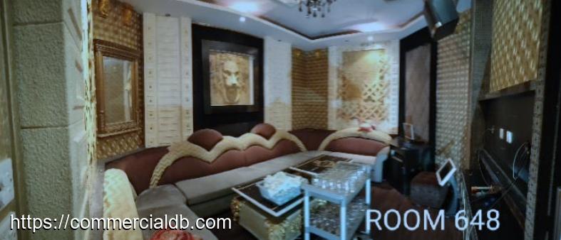 PUB/F&B/KTV Space @Orchard Plaza